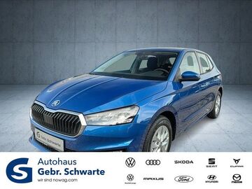 Gebrauchte Skoda Fabia